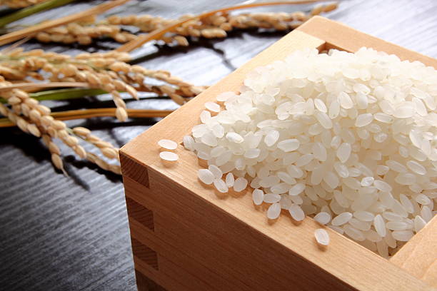 Sushi Rice (Japanese Japonica)