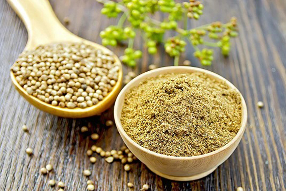 Coriander (Whole / Powder)